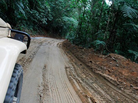 Na estrada-parque