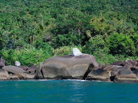 Paisagem pelo caminho até a Praia de Castelhanos