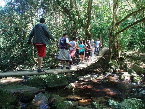 Ponte pênsil na trilha da Cachoeira do Gato