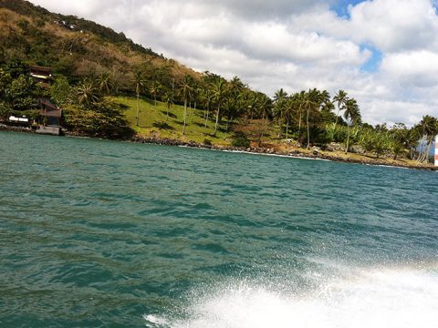Ponta das Canas