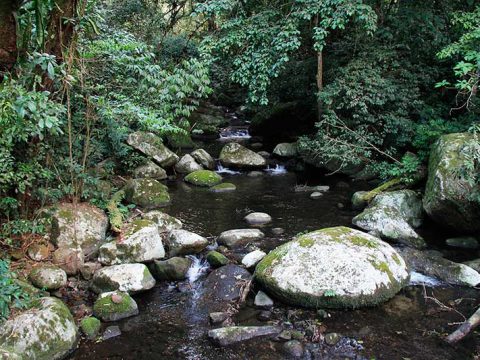 Riacho na estrada-parque